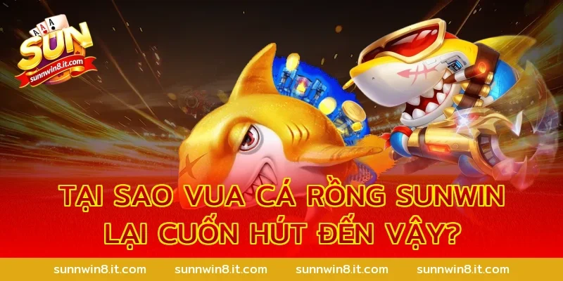 Tại sao Vua cá rồng Sunwin lại cuốn hút đến vậy?