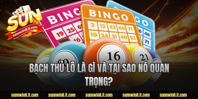 Bạch thủ lô là gì và tại sao nó quan trọng?