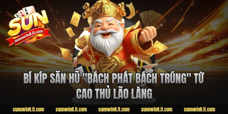 Bí Kíp Săn Hũ "Bách Phát Bách Trúng" Từ Cao Thủ Lão Làng