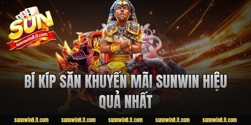 Bí Kíp Săn Khuyến Mãi Sunwin Hiệu Quả Nhất